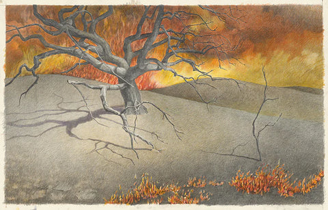 Burn Field 3 - Woolsey Fire, Joseph Kabriel, 2020, colored pencil, 20 x 32 in. / 50.8 x 81.28 cm.