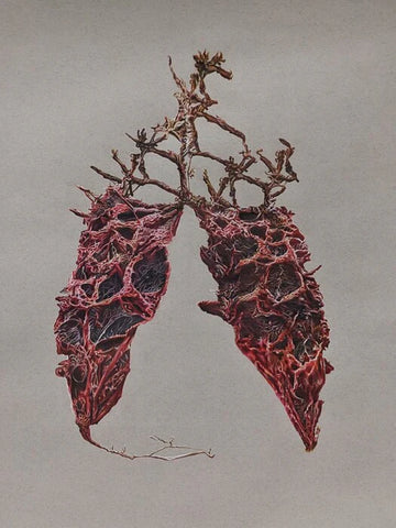 Psychosomatic: The Lungs, Kelli Crockett, 2023, mixed media, 24 x 18 in. / 60.96 x 45.72 cm.