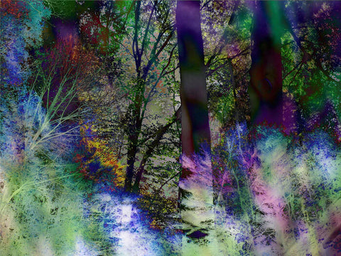 August Trees, Marty Quinn, 2010, textured fine art print, 24 x 32 in. / 60.96 x 81.28 cm.