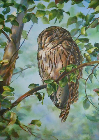 Forty Winks: Barred Owl, Amy Bartlett Wright, 2020, oil, 24 x 18 in. / 60.96 x 45.72 cm.