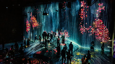 Emerging Trends in Immersive Art