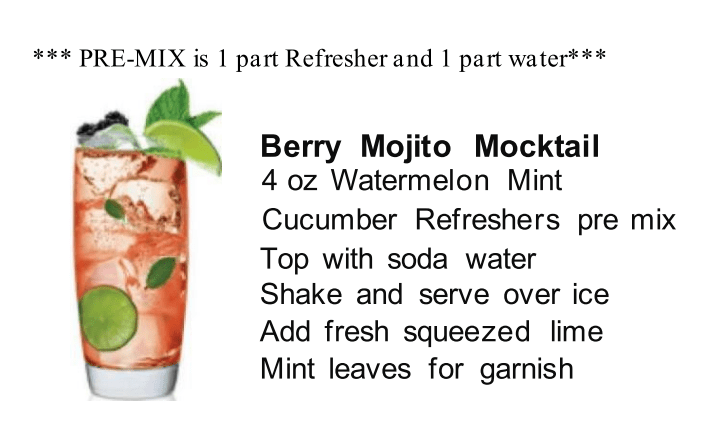 Dr. Smoothie Watermelon Cucumber Mint Refreshers