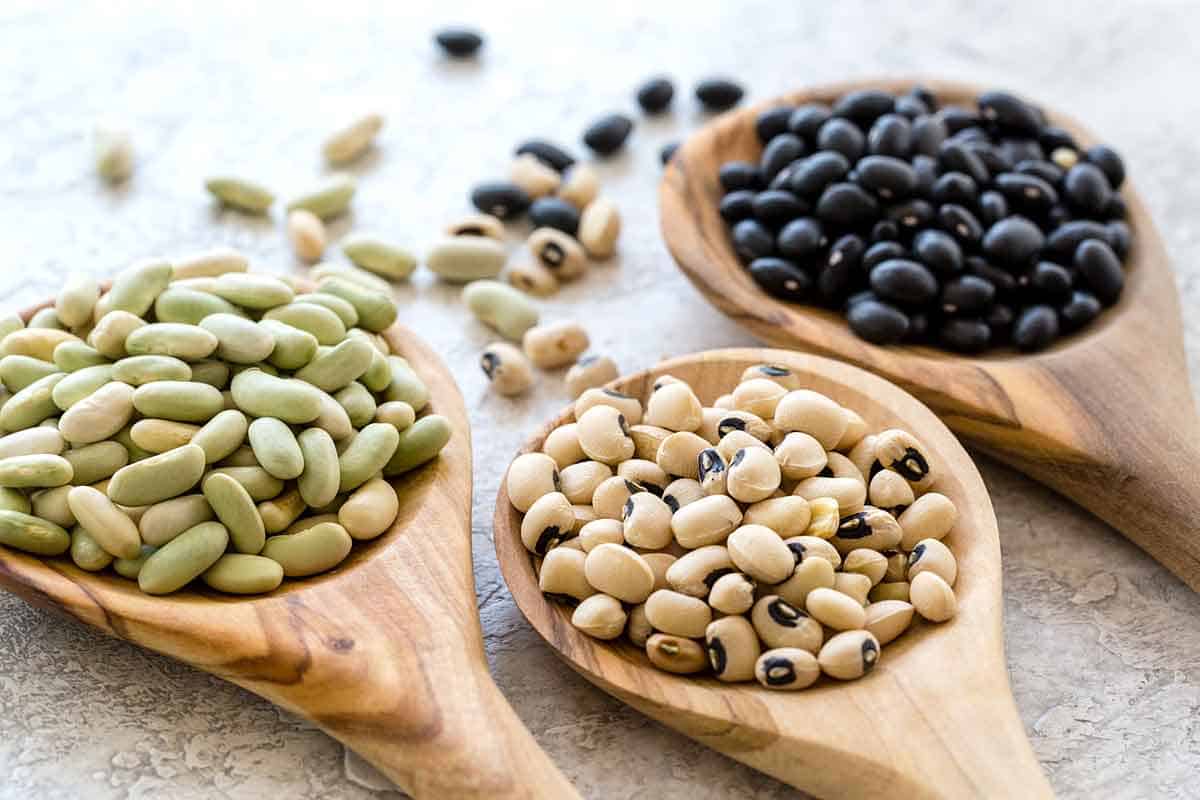 Vegan Proteinpulver Sources Beans