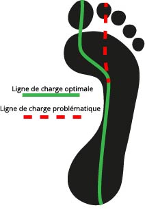 Ligne de charge du pied