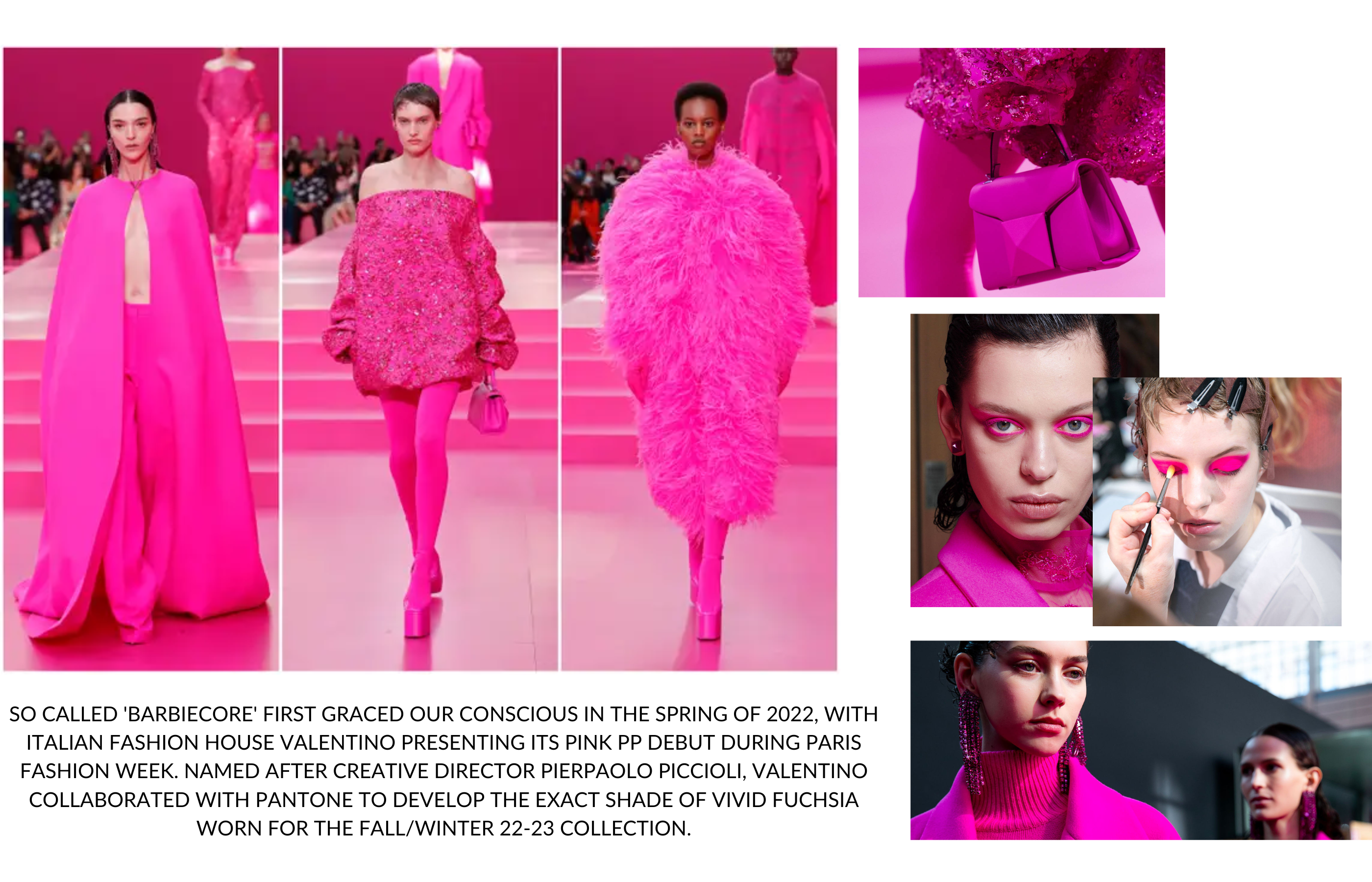 Pink Theme - Valentino Paris Fashion Week