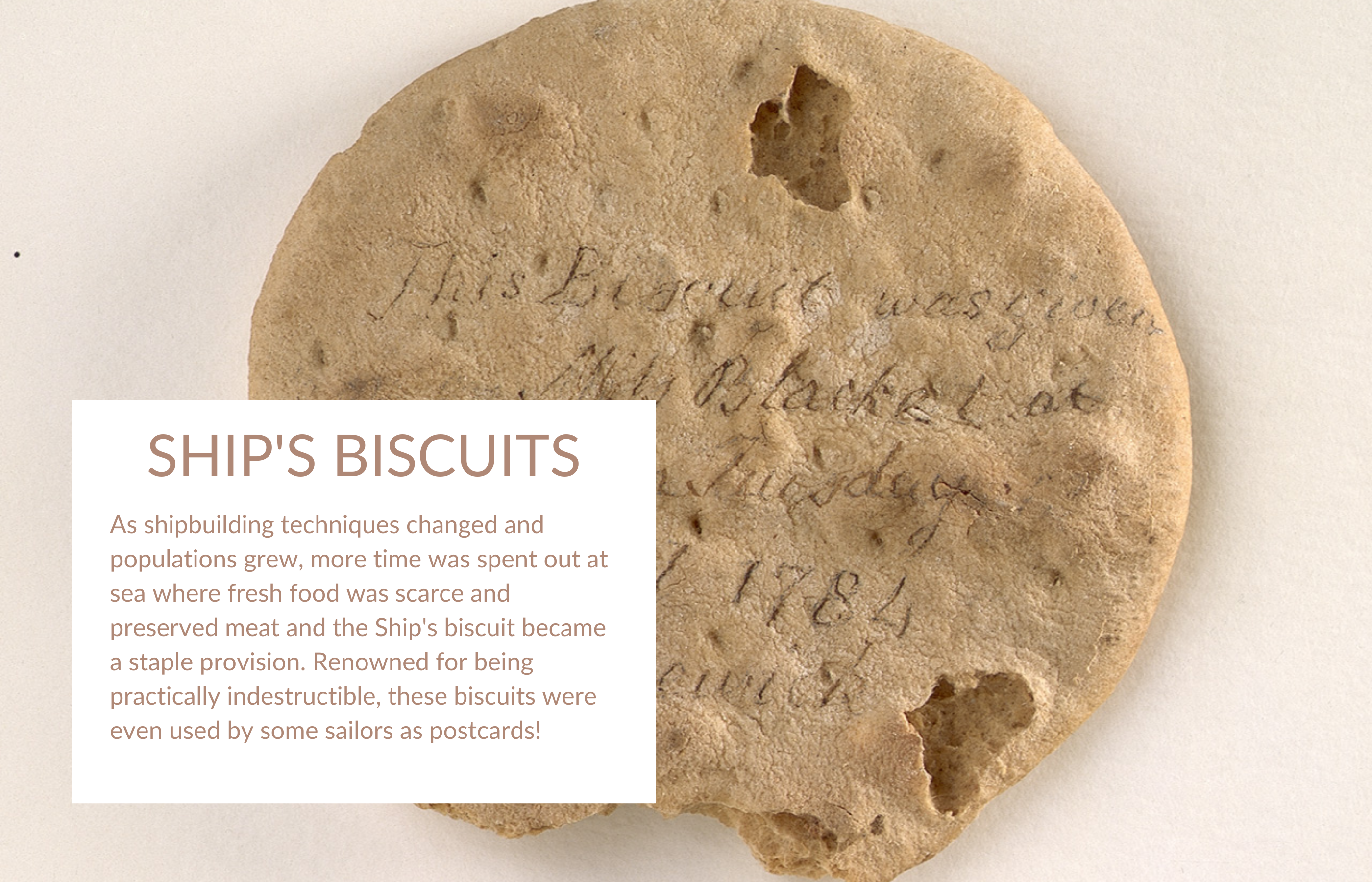 Ships Biscuit