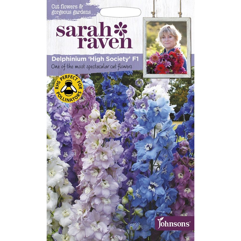 Delphinium 'Delgenius Neva' 3Ltr Pot – Old Railway Line Garden Centre