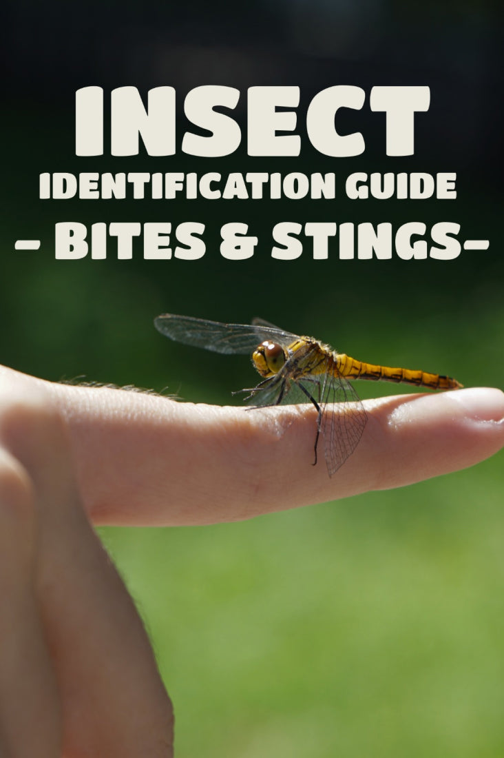 Insect Identification Guide - Bites & Stings blog post by Nomads Roam