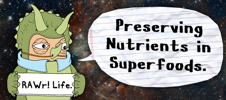 rawr life preserving nutrients in superfoods