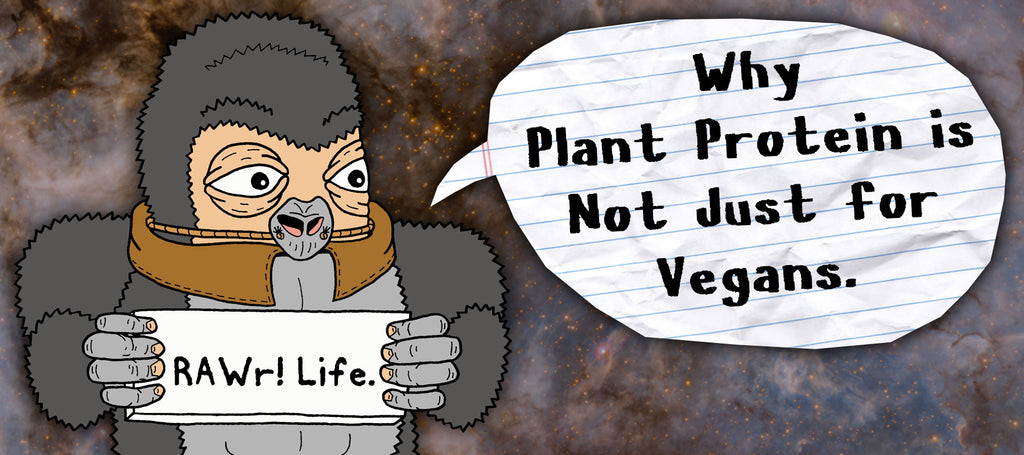 rawr plant protein why plant protein is not just for vegans