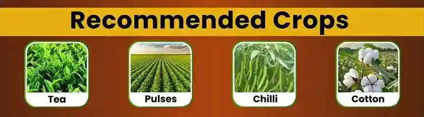 Target crops of Emathio