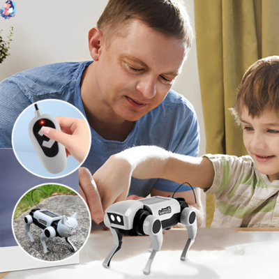 chien-robot-electrique-a-energie-solaire-teddy-dog-eveille-la-curiosite