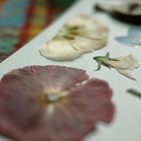 Glued Lisianthus with the edge of it curling up a bit where the glue was not applied