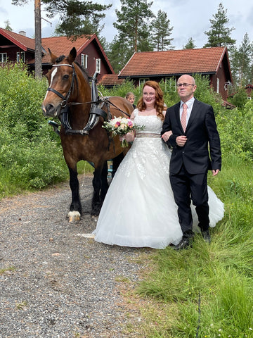 Norwegian bride arriving by horse driven carriage