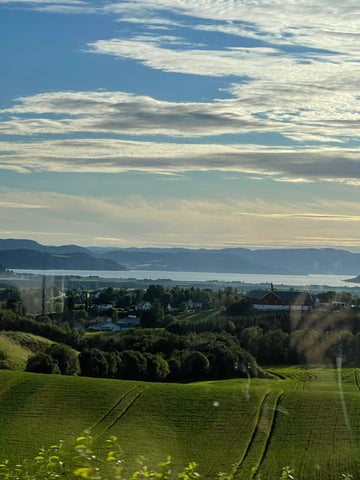 view from the train to Trondheim