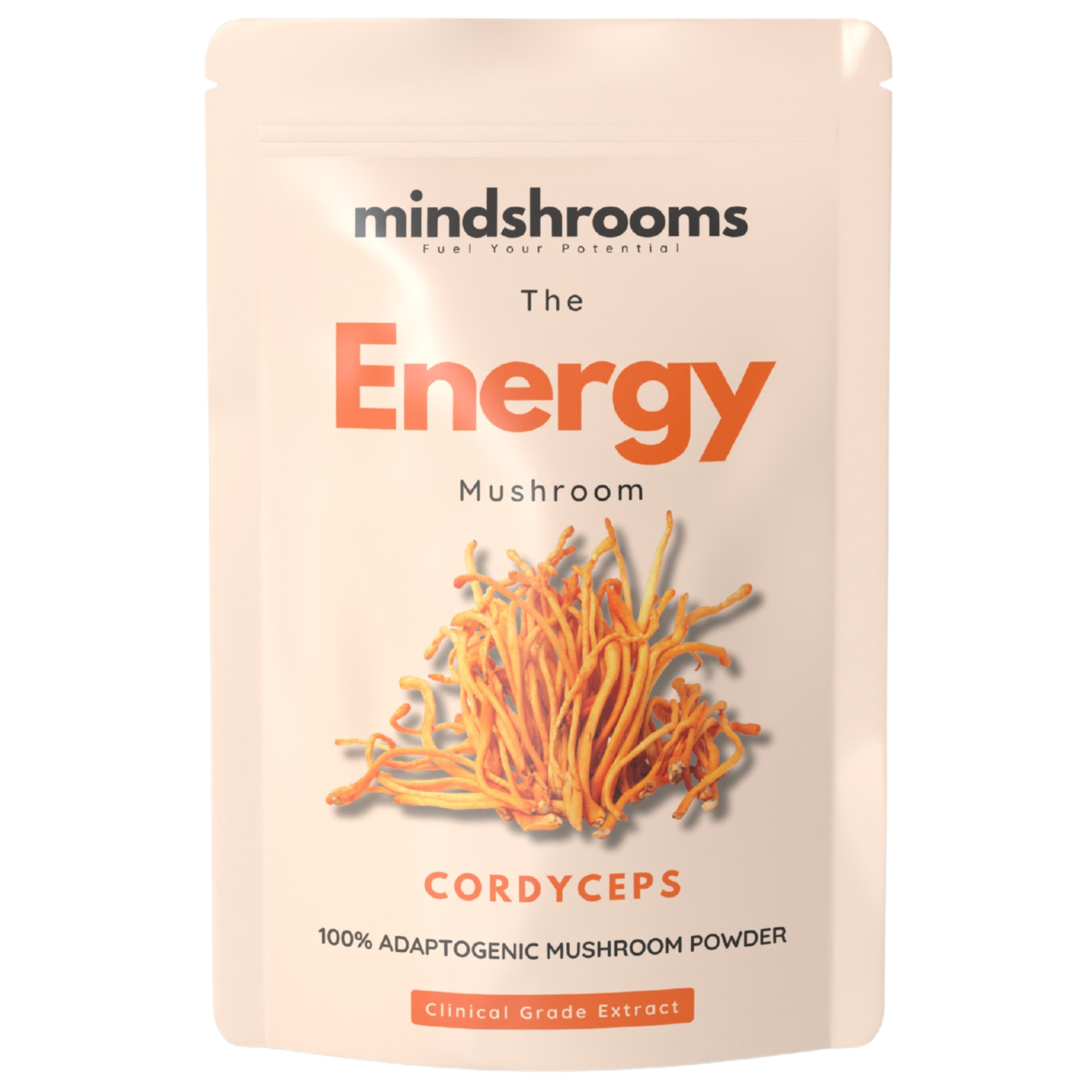 Mindshrooms Cordyceps Powder