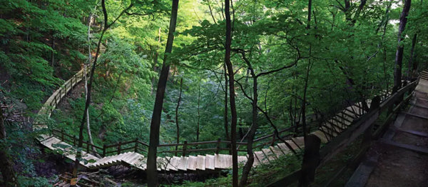 Die 50 besten Wandersprüche