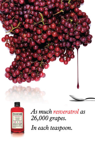 Fountain The Beauty Molecule with Resveratrol