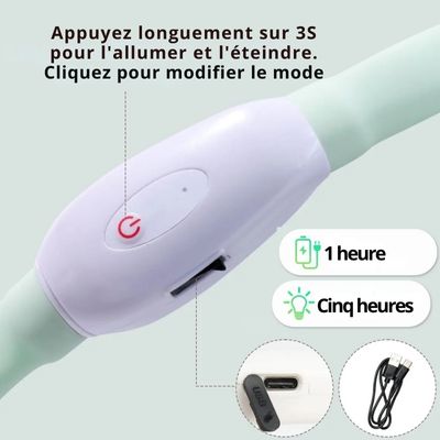 collier-chien-lumineux-rechargeable