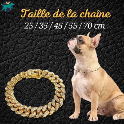 collier-chien-or