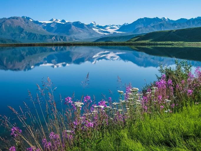 Alaska Highway Route 2 - Delta Junction to the Canadian Border - Best Roads and Destinations