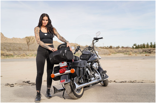 Best Motorcycle Sissy Bar Bags