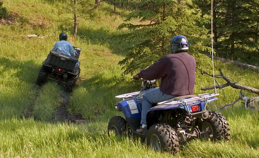 Black Hills Forest, South Dakota