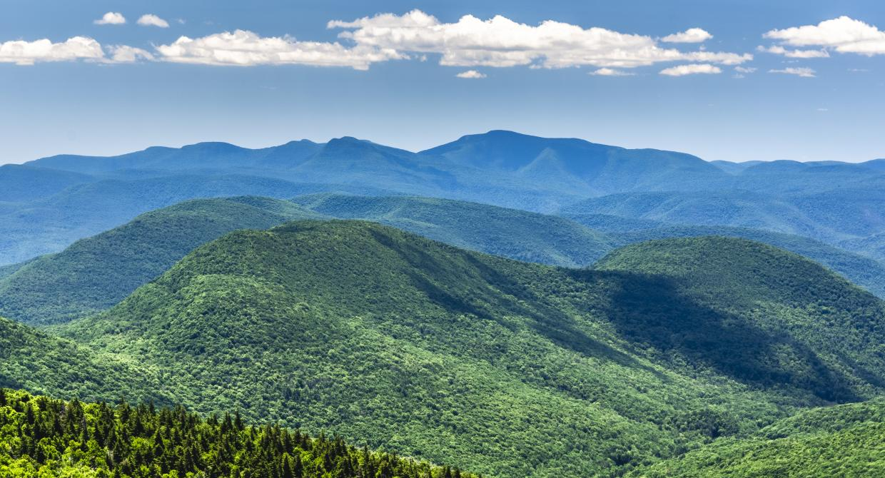 Catskill Preserve - Best Roads and Destinations