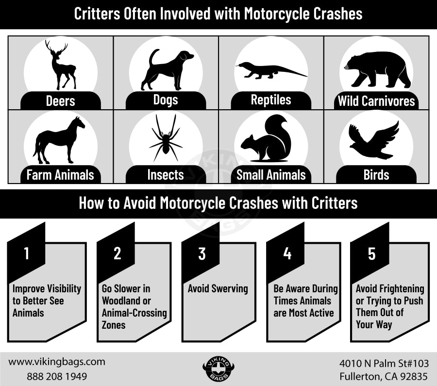 How to Avoid Motorcycle Collisions with Critters