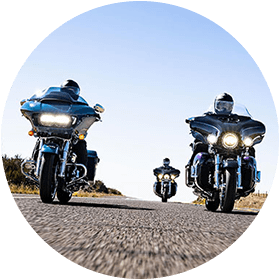 Harley Rentals