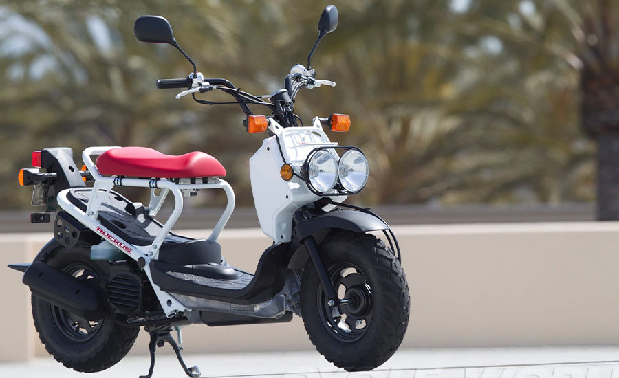 Honda Ruckus Rental