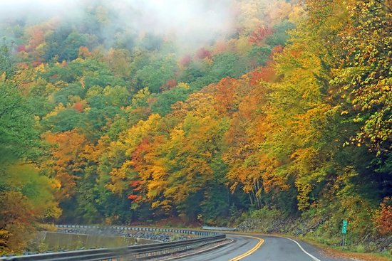 Introduction - Mohawk Trail