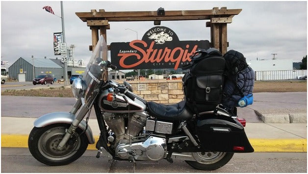 Motorcycle Sissy Bar Bags