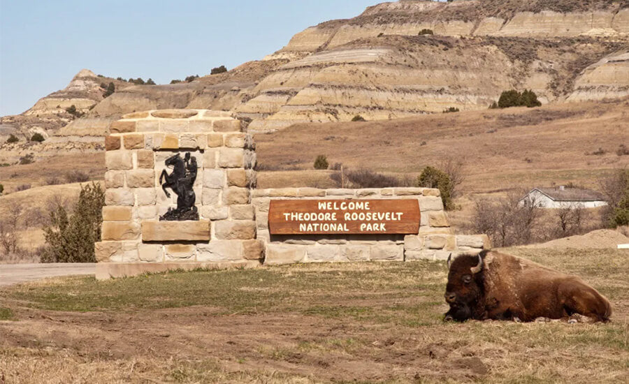 Theodore Roosevelt National Park, North Dakota