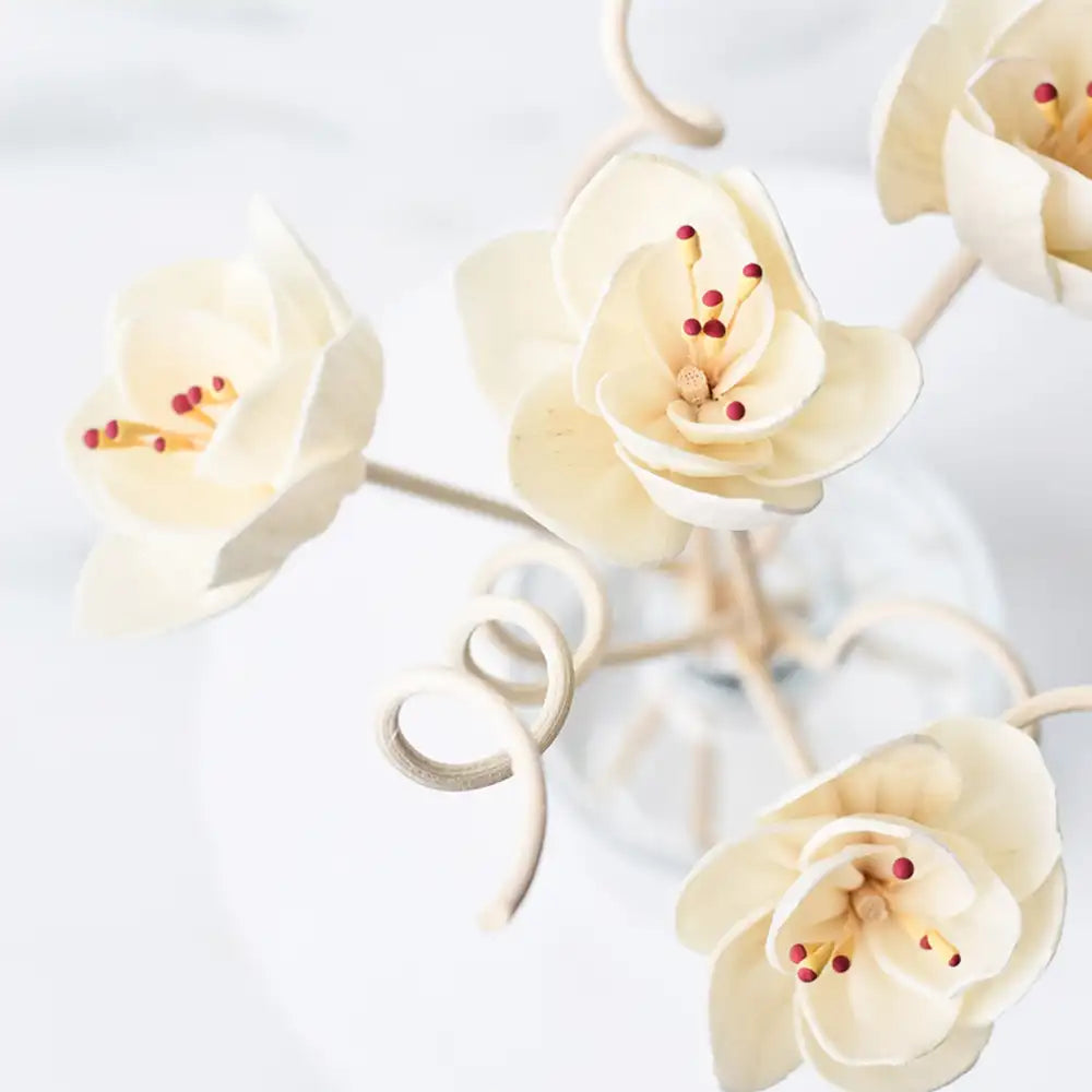 Reed Diffuser Refills