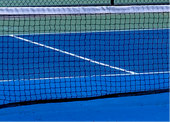pickleball net, pickleball net height, pickleball net vs tennis net
