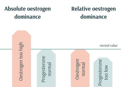 absolute vs. relative oestrogendominance xbyx menopause