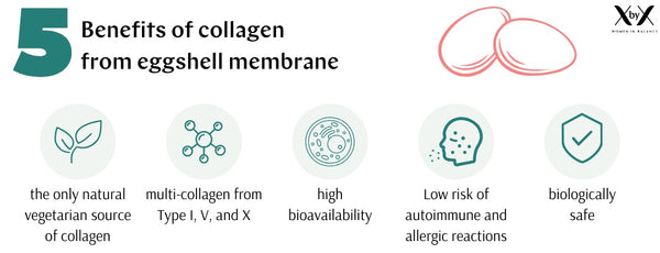 collagen five advantages vegetarian xbyx menopause