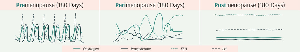 hormones xbyx menopause