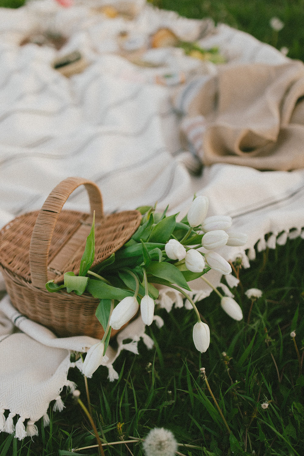 roan-iris-rattan-picnic-basket.jpg