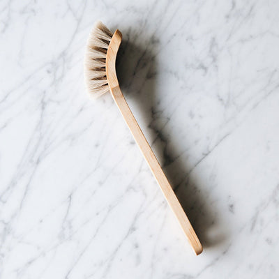 Round Everyday Dish Brush –