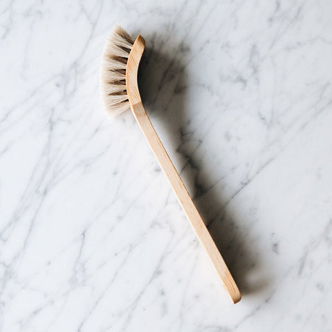 Everyday Dish Brush –