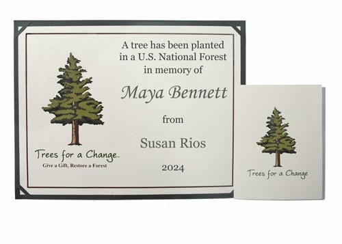 memorial-tree-gift