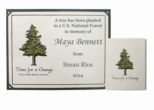 memorial-tree-gift