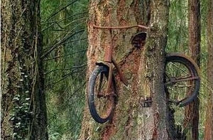 treebicycle