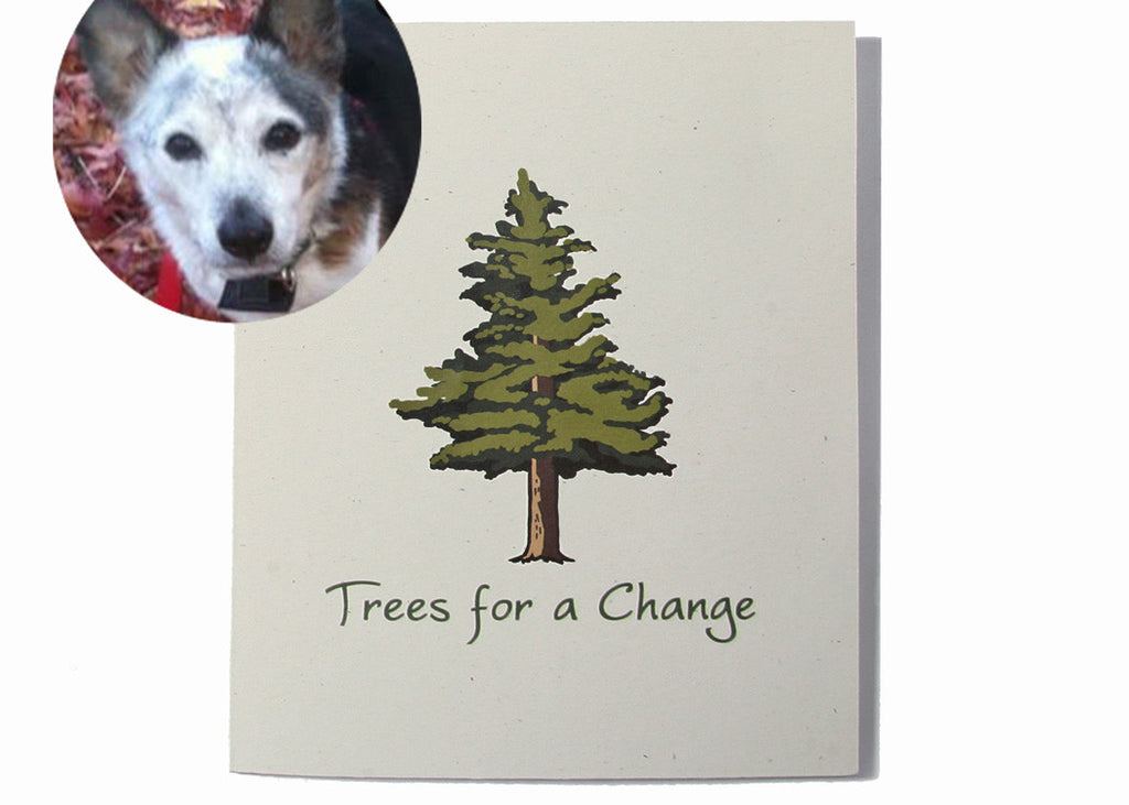 Pet Sympathy Cards Pet Condolences Loss of a Pet