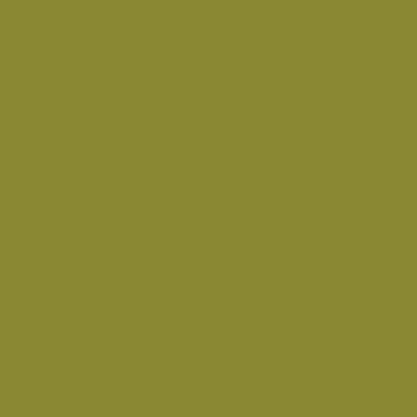 Dark-olive-1969 color swatch