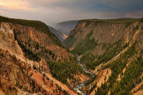 Yellowstone Ecosystem