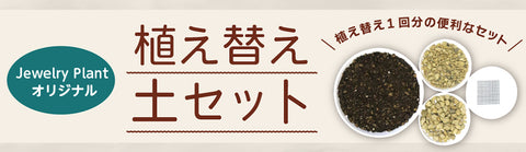 培養土 ボラ石 底石 鉢底ネット スプーン スティック 植え替えセット 植え替え