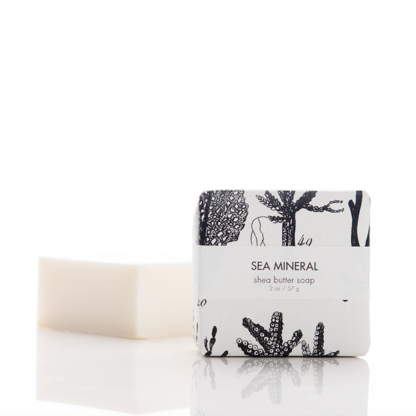 Shea Butter Soap — The Essential Oil Company